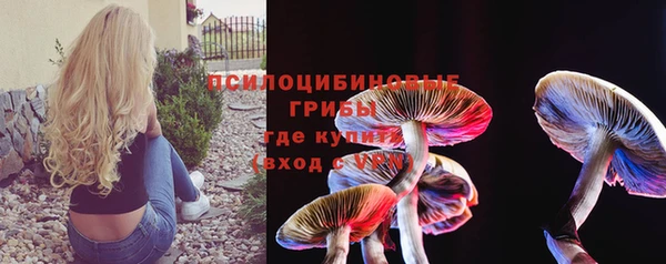 ГАЛЛЮЦИНОГЕННЫЕ ГРИБЫ Лиски