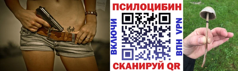 Галлюциногенные грибы Psilocybe  Нефтеюганск 